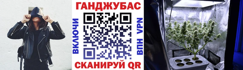 наркота  Раменское  hydra сайт  Каннабис индика 